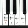 imageRockJam 49 Key Keyboard PianoSheet Music Stand Piano Note Stickers ampamp Simply Piano LessonsBlack