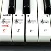imageRockJam 49 Key Keyboard PianoSheet Music Stand Piano Note Stickers ampamp Simply Piano LessonsBlack