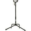 imageRockJam Portable Vertical Guitar Stand with Plecs ampamp Lessons