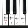 imageRockJam RJ761 61 Key Keyboard Piano with Keyboard Bench Digital Piano Stool Sustain Pedal Headphones ampamp Lessons61 Key Kit with Pitch Bend