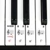 imageRockJam RJ761 61 Key Keyboard Piano with Keyboard Bench Digital Piano Stool Sustain Pedal Headphones ampamp Lessons61 Key Kit with Touch Display  Sustain Pedal